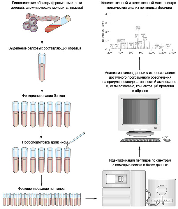 Использование масс-спектрометрии для получения и исследования новых биомаркеров