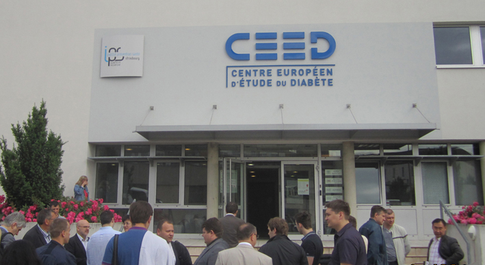 CEED.jpg